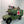 M988 MEDEVAC HMMWV Coin Holder | 3D Printed Military Ambulance Display