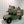 M988 MEDEVAC HMMWV Coin Holder | 3D Printed Military Ambulance Display